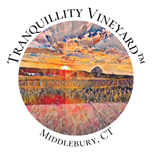 Tranquillity Vineyard Scrolled light version of the logo (Link to homepage)